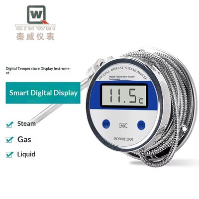 Digital Display Industrial Thermometer, Acid And Alkali Resistant, High Temperature Resistant